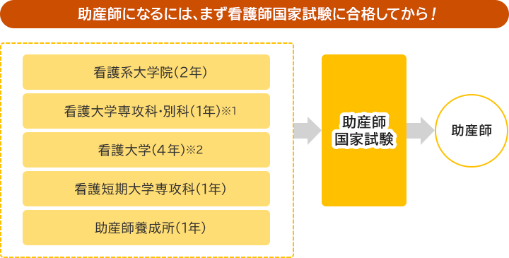 助産師になるまで